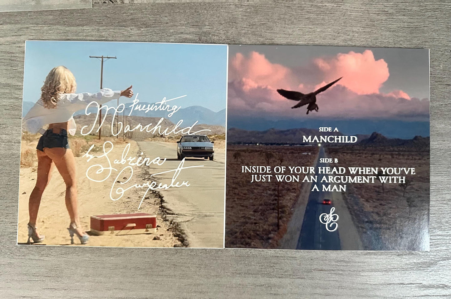 Manchild Custom Sleeve for 7” Picture Disc Vinyl Record