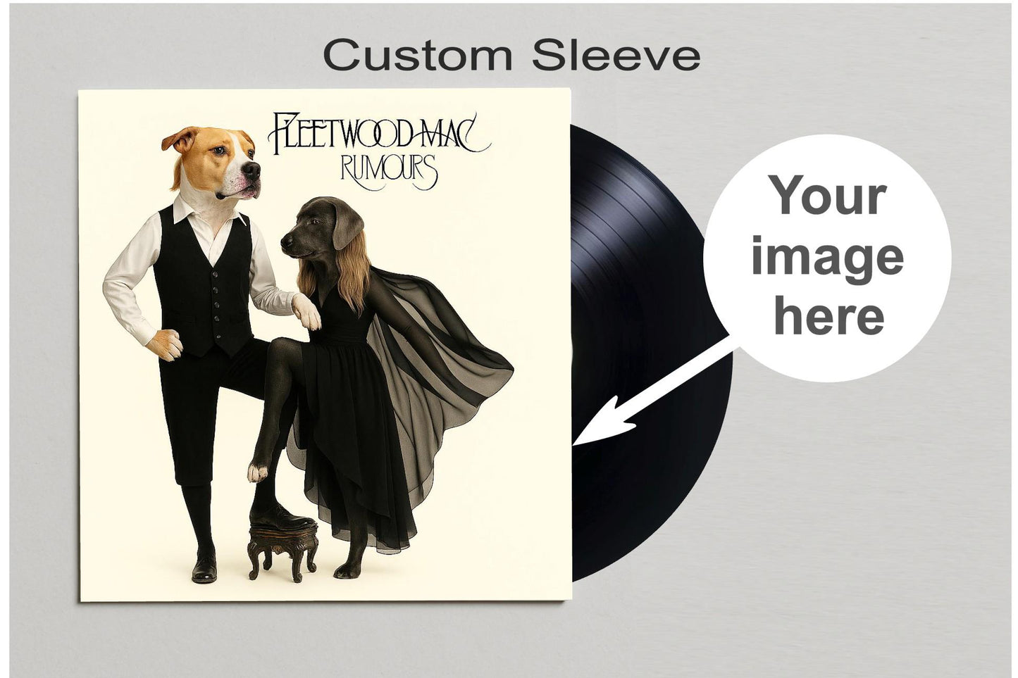 Vinyl Record Sleeve Custom, Full Photo Album Cover, Picture Disc Sleeve, Replacement Jacket, Record Decorations