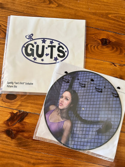 Guts 12” picture disc Custom Vinyl sleeve