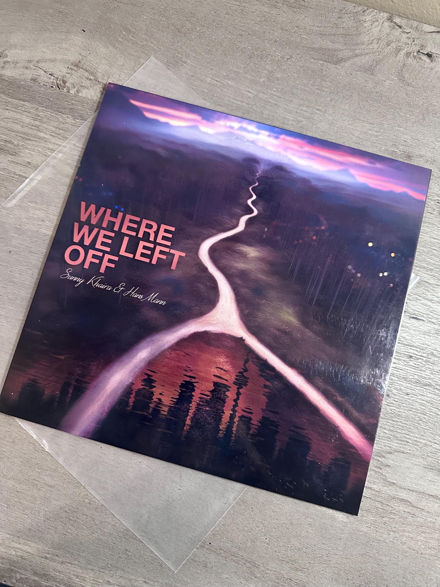 Vinyl Record Sleeve Custom, Full Photo Album Cover, Picture Disc Sleeve, Replacement Jacket, Record Decorations