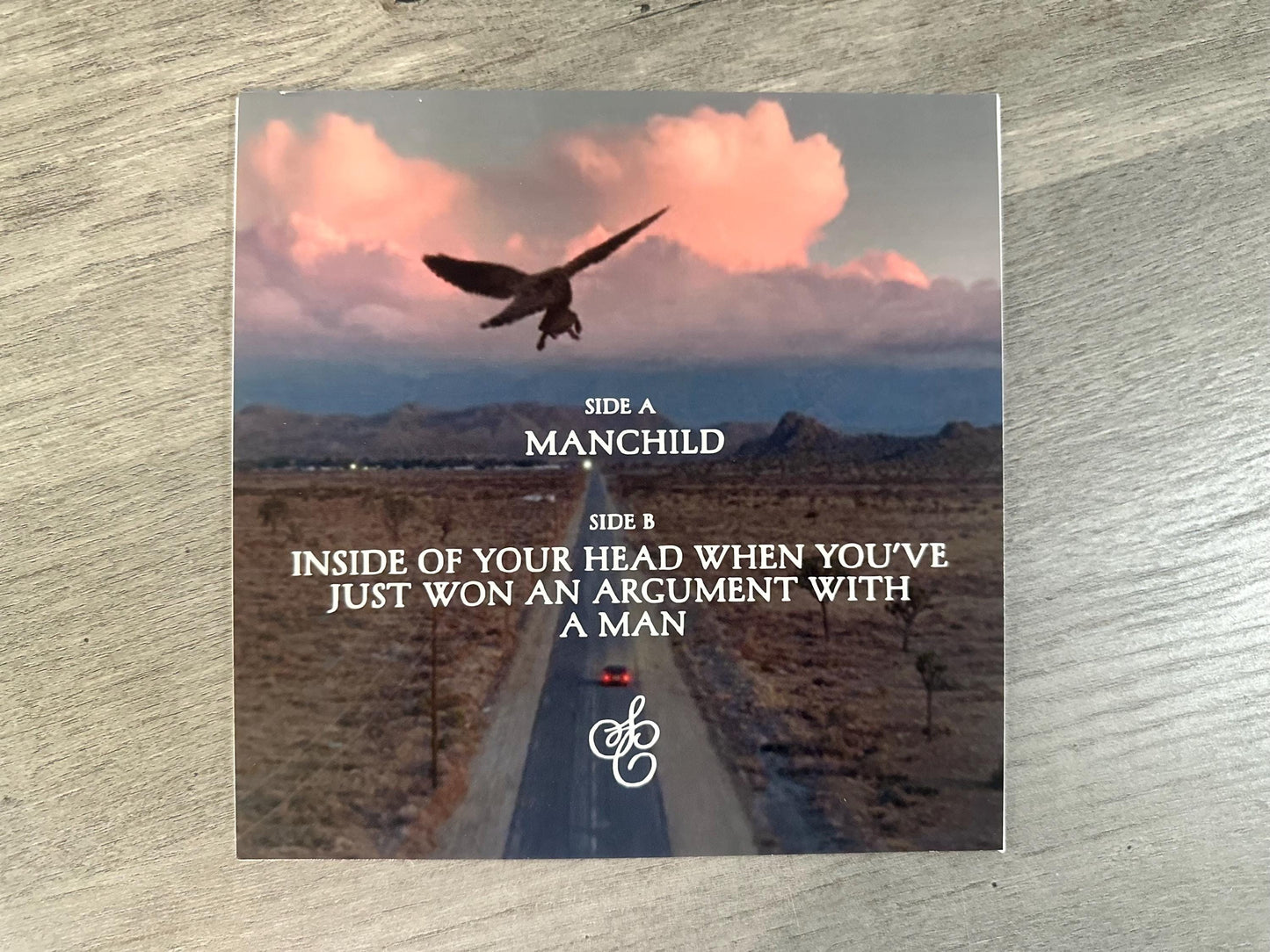 Manchild Custom Sleeve for 7” Picture Disc Vinyl Record
